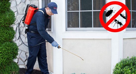Alaçatı Haşere İlaçlama böcek ilaçlama ve haşere kontrolü — ilaclama-tr.com